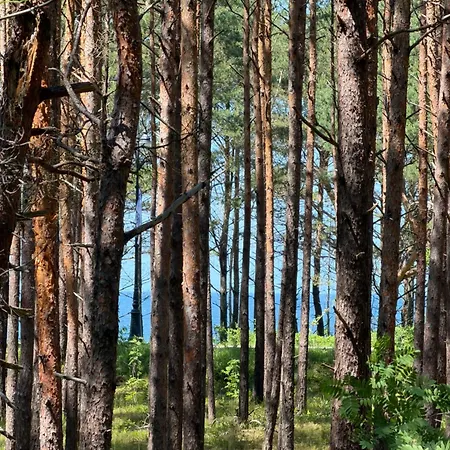 Capri Z Widokiem Na Morze- Lejlighed Krynica Morska